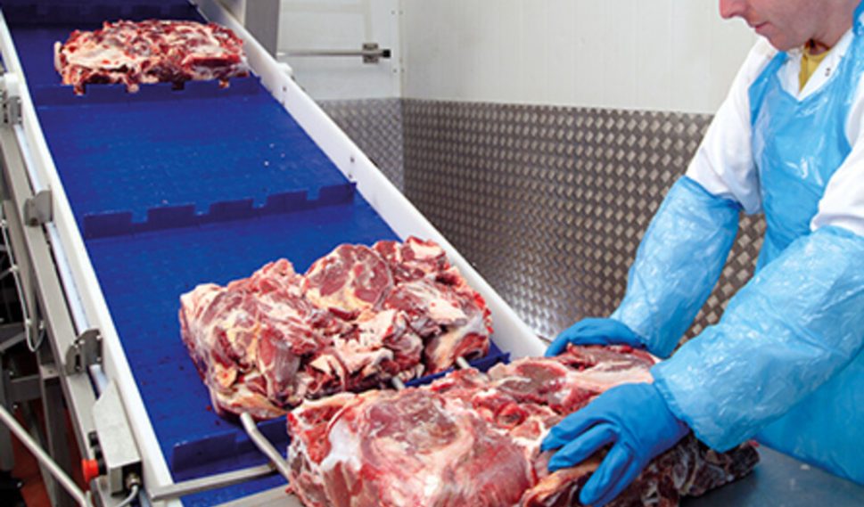 WhatsApp Image 2025-05-30 at 1.28.30 PM